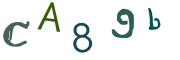 이미지 CAPTCHA