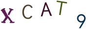 이미지 CAPTCHA